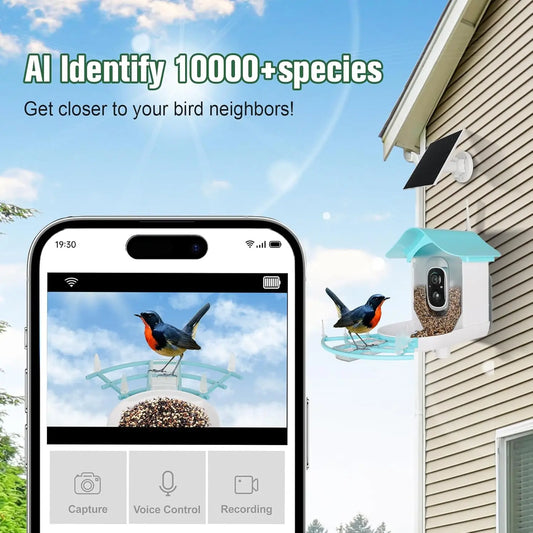 Bird Feeder with Camera AI Identify Birds Species Solar Powered