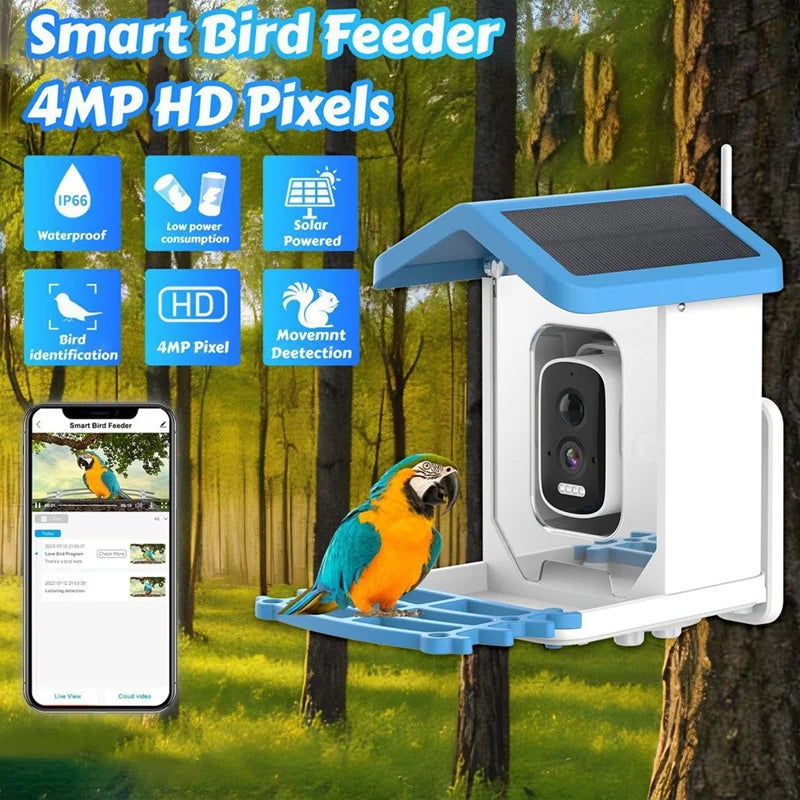 Bird Feeder