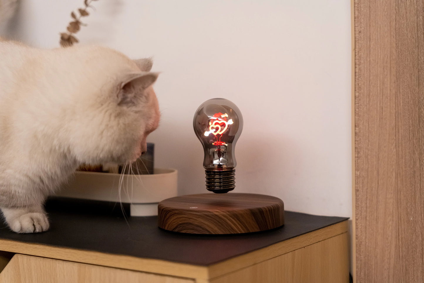 Romantic LED Night Light for Bedroom