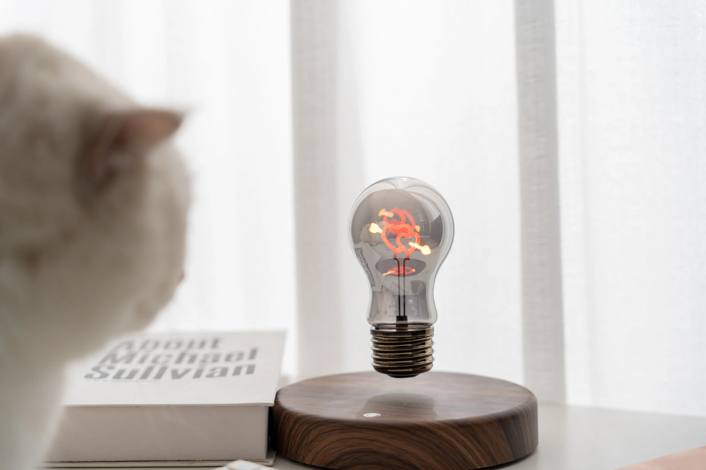 Romantic LED Night Light for Bedroom