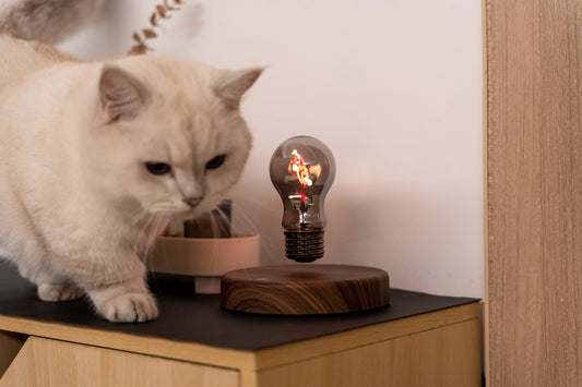 Romantic LED Night Light for Bedroom