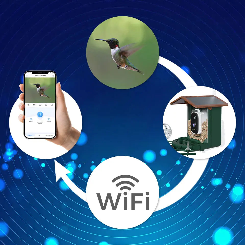 Bird Feeder Camera 4MP 2K HD Bird Video Capture