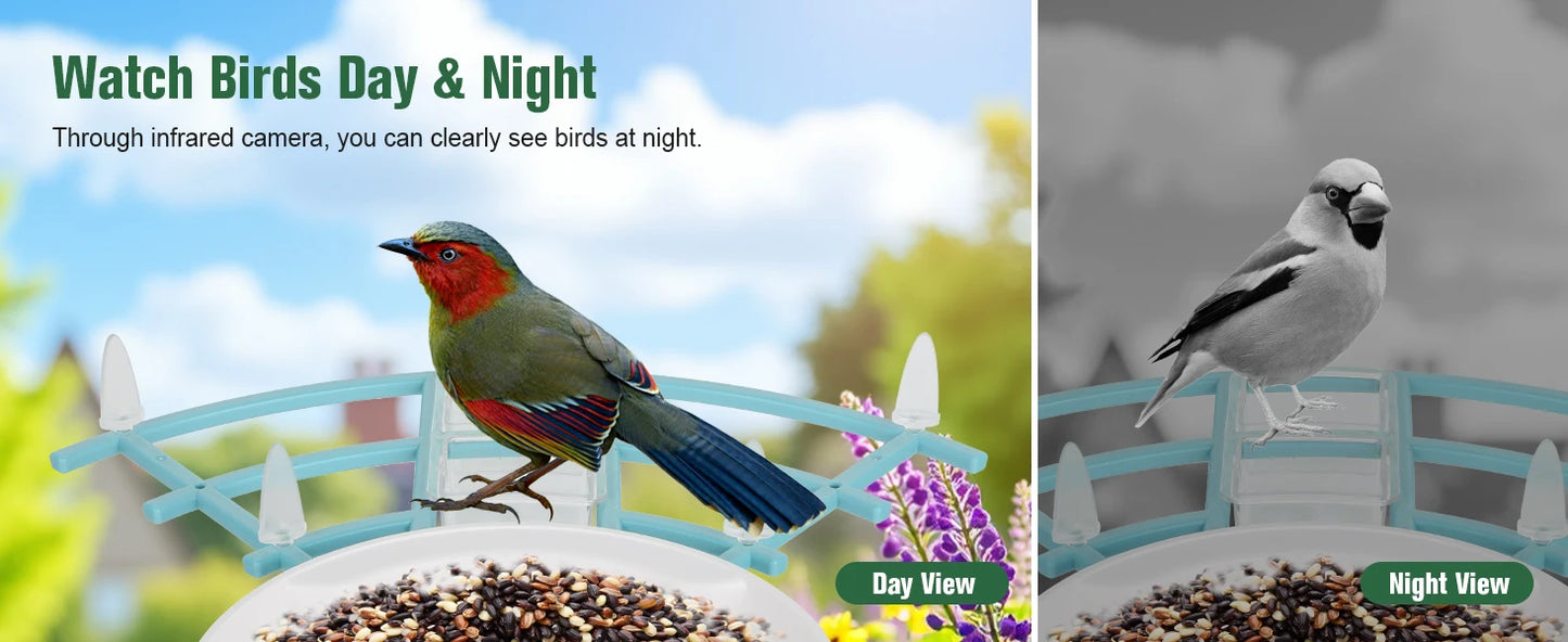 Bird Feeder with Camera AI Identify Birds Species Solar Powered
