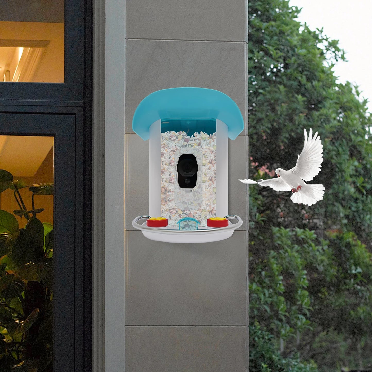 Bird Smart Feeder with Camera Solar Low Power Night Vision Ip65 Waterproof