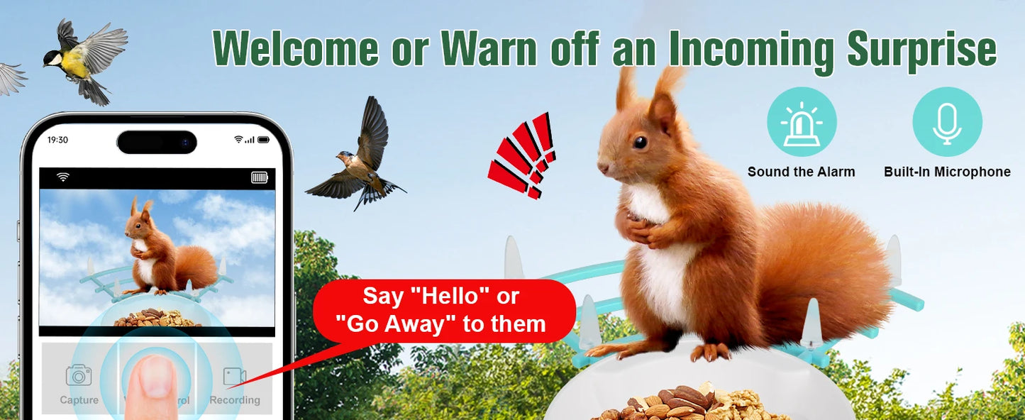 Bird Feeder with Camera AI Identify Birds Species Solar Powered