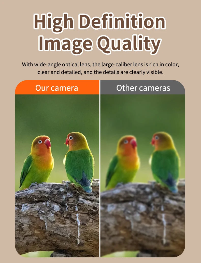 Smart Bird Feeder with Camera 1080HD Night Vision Solar Power