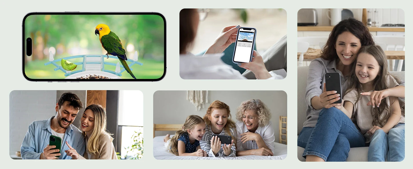 Bird Feeder with Camera AI Identify Birds Species Solar Powered