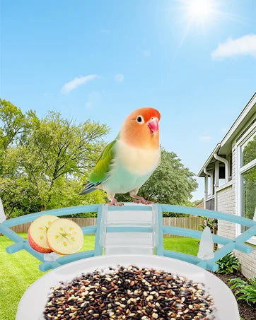 Bird Feeder with Camera AI Identify Birds Species Solar Powered