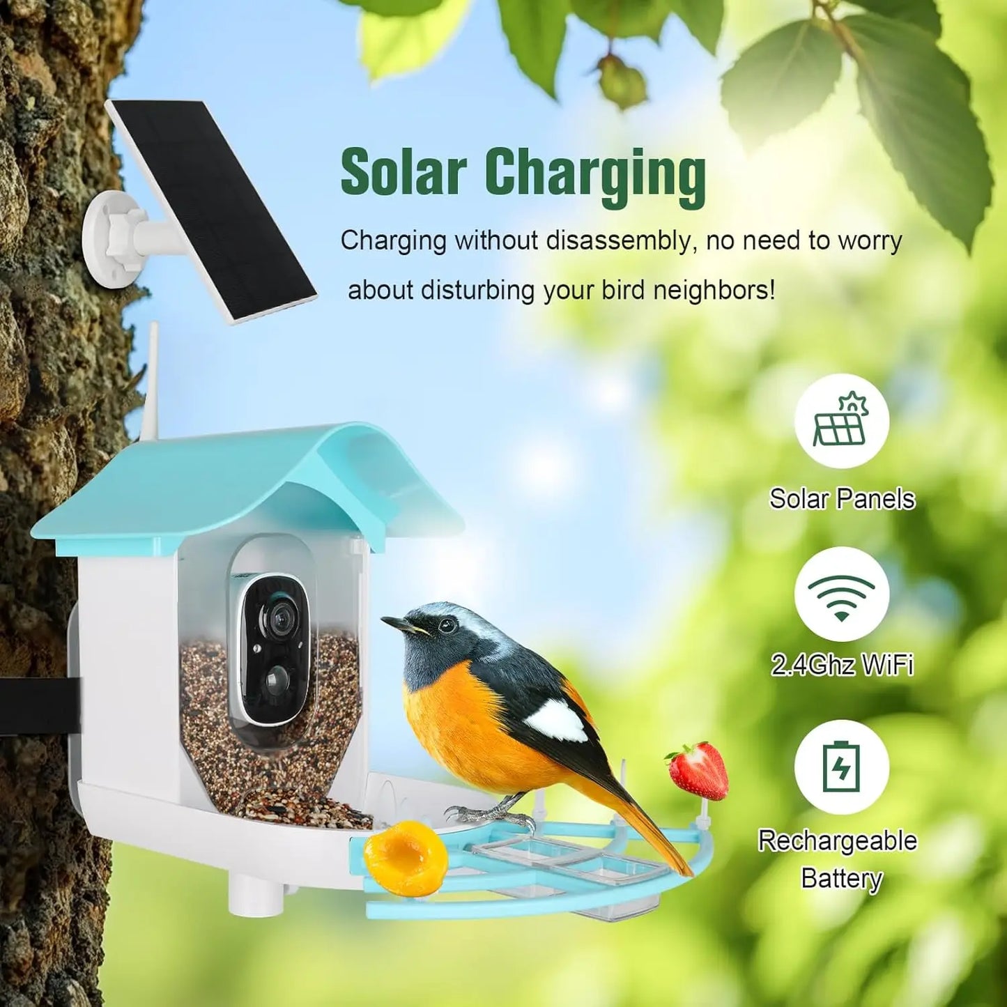 Bird Feeder with Camera AI Identify Birds Species Solar Powered