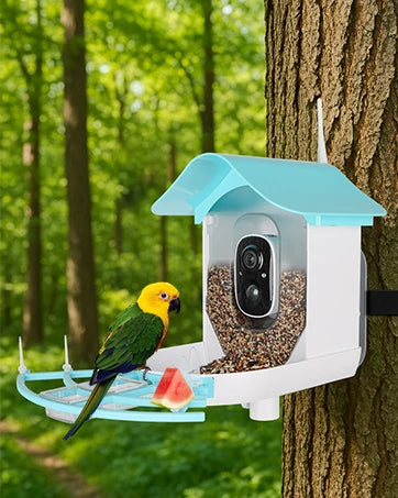 Bird Feeder with Camera AI Identify Birds Species Solar Powered