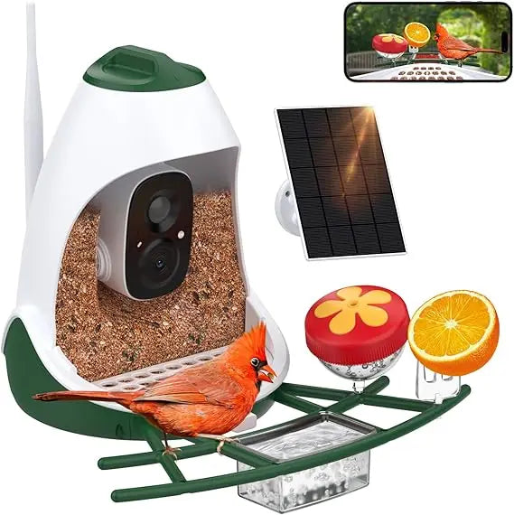 Bird Feeder with Camera,AI Identify Species Solar Panel