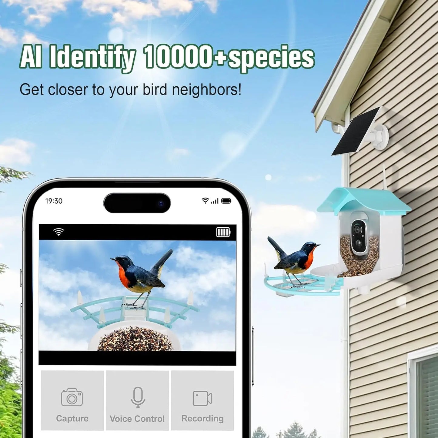 Bird Feeder with Camera AI Identify Birds Species Solar Powered