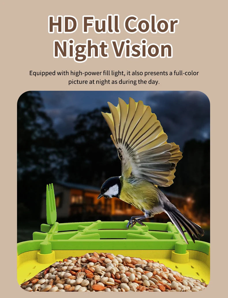 Smart Bird Feeder with Camera 1080HD Night Vision Solar Power