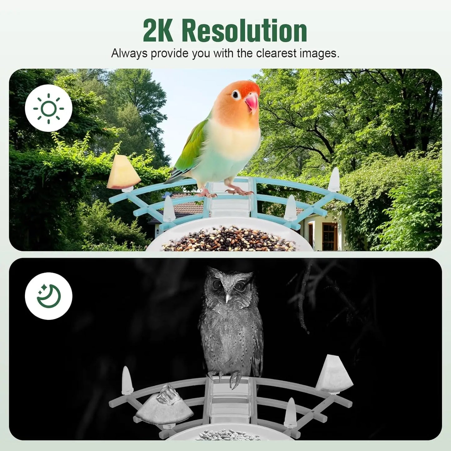 Bird Feeder with Camera AI Identify Birds Species Solar Powered