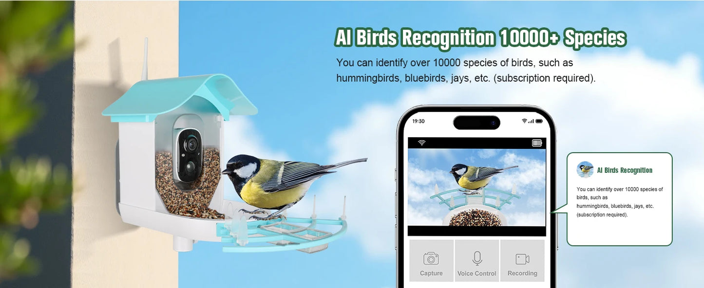 Bird Feeder with Camera AI Identify Birds Species Solar Powered