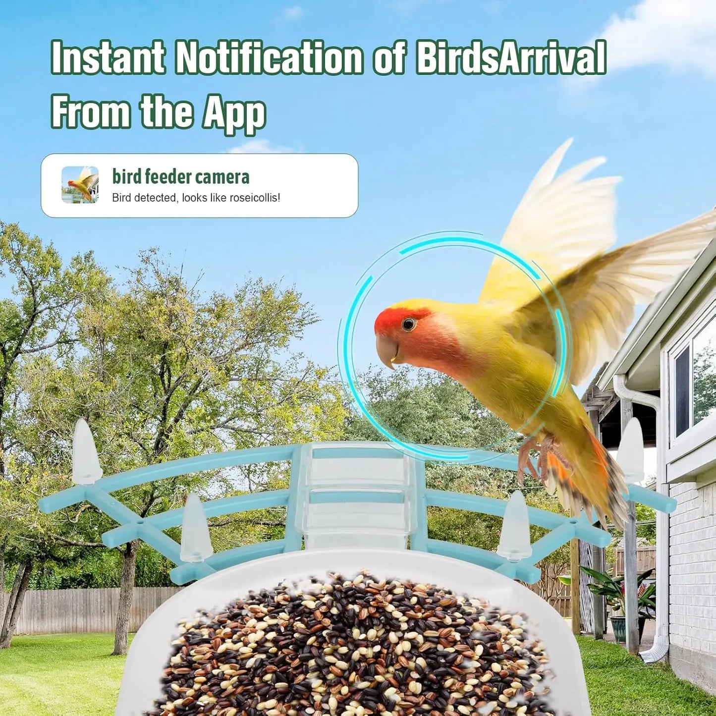Bird Feeder with Camera AI Identify Birds Species Solar Powered