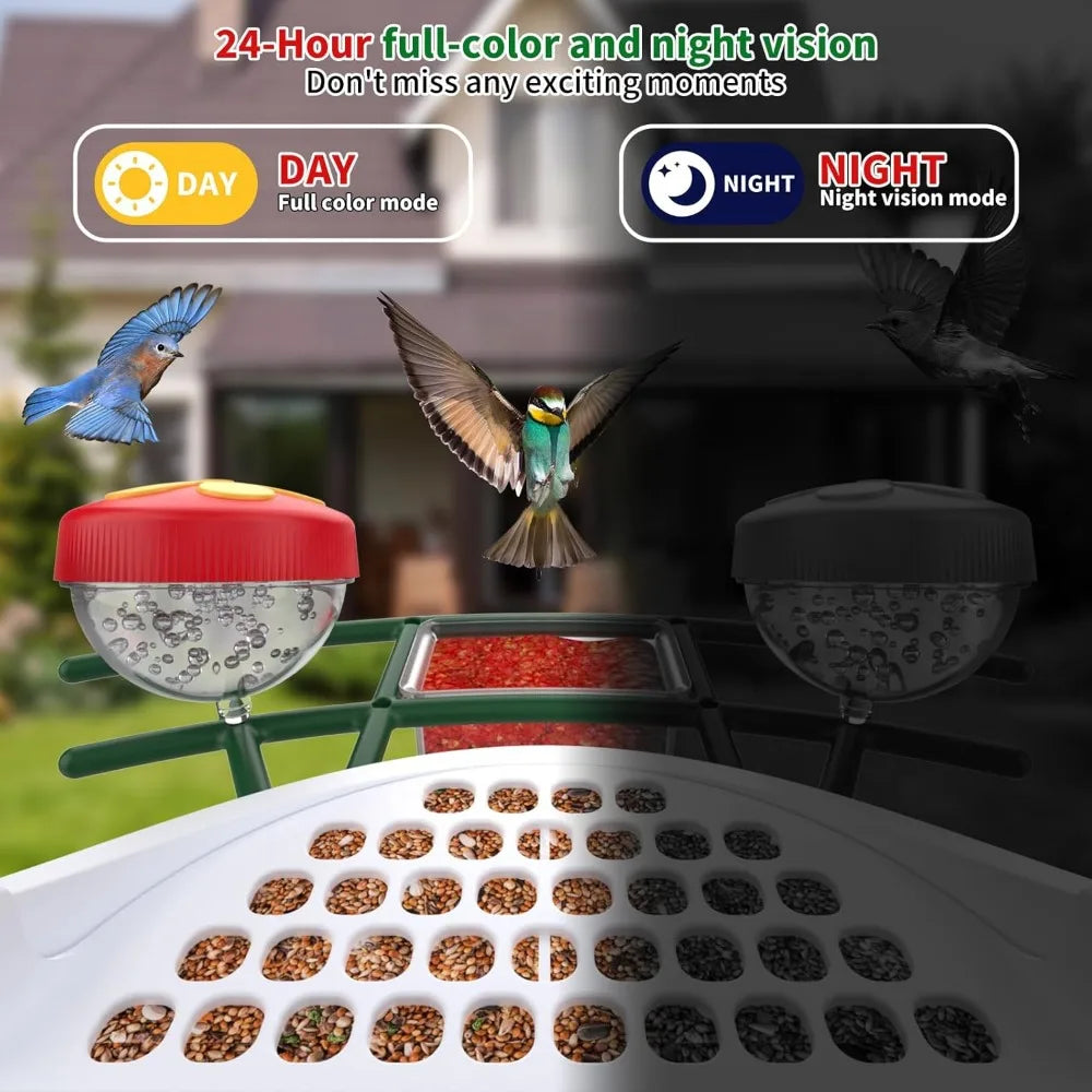 Bird Feeder with Camera,AI Identify Species Solar Panel