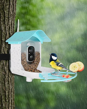Bird Feeder with Camera AI Identify Birds Species Solar Powered